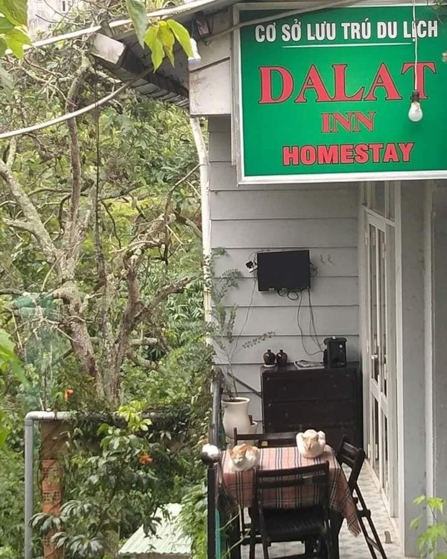 Dalat Inn Homestay Exterior foto